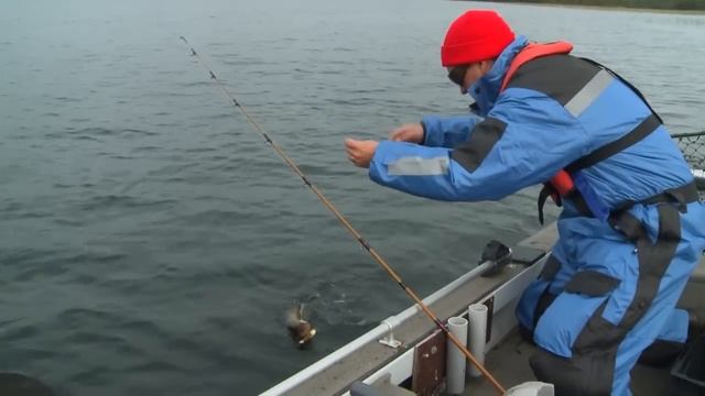 Самое рыбное место | Most fish place смотреть онлайн