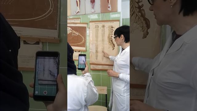 центральная нервная система смотреть онлайн