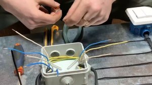 Схема подключения двухклавишного выключателя