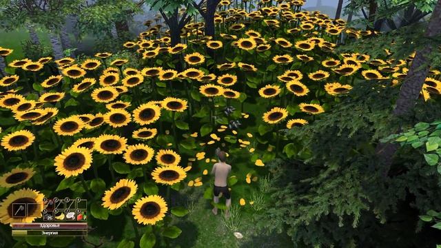 Новый сезон, Новое Начало |01| Force of Nature смотреть онлайн