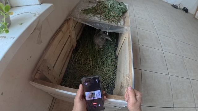 гранулятор и газона косилка с биологическим приводом смотреть онлайн