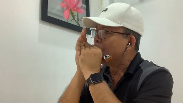 ADIEU SOIS HEUREUSE. THÔI TA XA NHAU. Harmonica Tremolo Tone C/C#. смотреть онлайн
