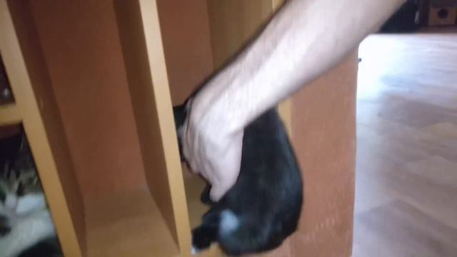 168❤️ Когда сын рядом, мама счастлива!!! Усталость даёт о себе знать. Салат Курочка ряба в описании смотреть онлайн