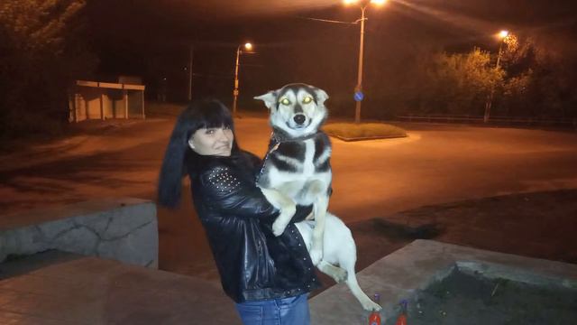 Любимой подруге Светуле Волович смотреть онлайн