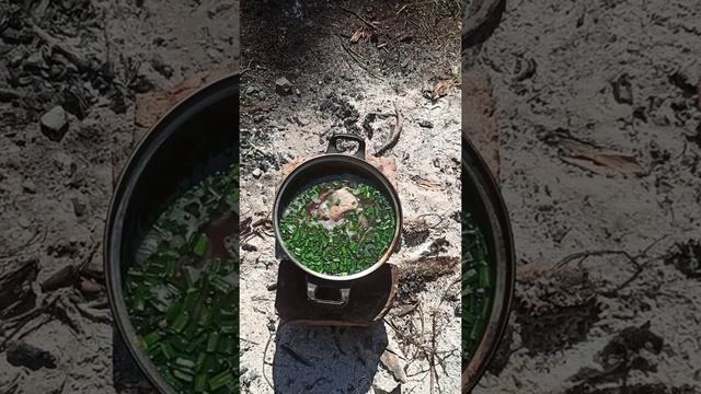 Кулинарная Волшебница