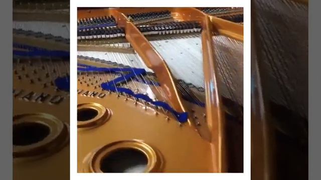 Звучание рояля Bluthner Leipzig смотреть онлайн