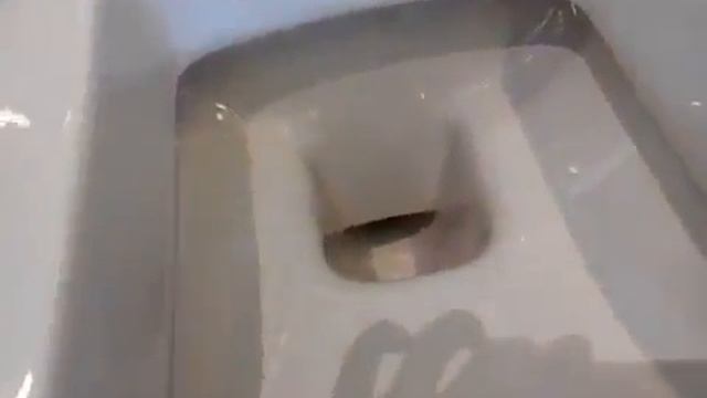 Laufen Palace 2070.0 wall toilett Лауфен палас подвесной унитаз смотреть онлайн