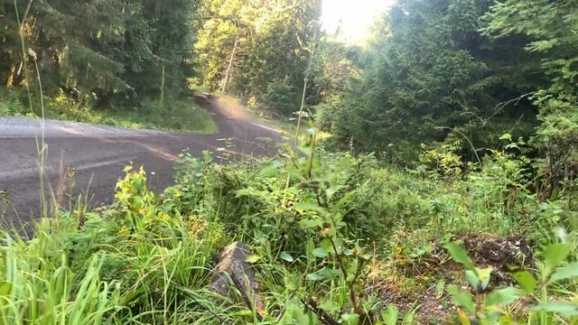 Secto Rally Finland 2023; High Speed Places, Max Attack, Sparks & More