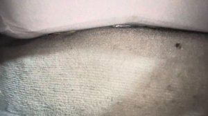 Как снять заднее сидение, Тойота камри (30,35)