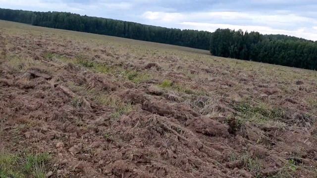 Результат обработки залежлого поля дискатором LEMKEN RUBIN 12