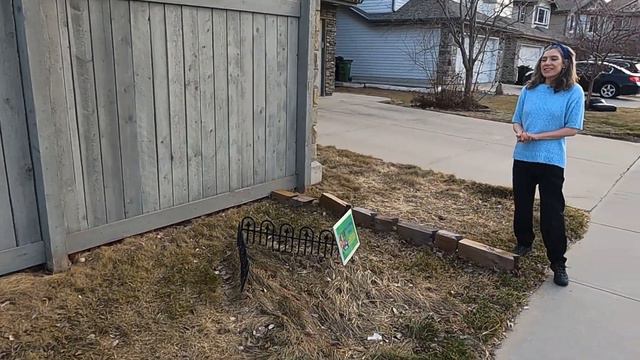 Wildflower Front Yard Lawn Alternative | The Early Spring Tour