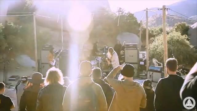 STONED, DUSTED AND FUZZED смотреть онлайн