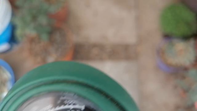geranios de sol o sombra chuyito jardinero смотреть онлайн