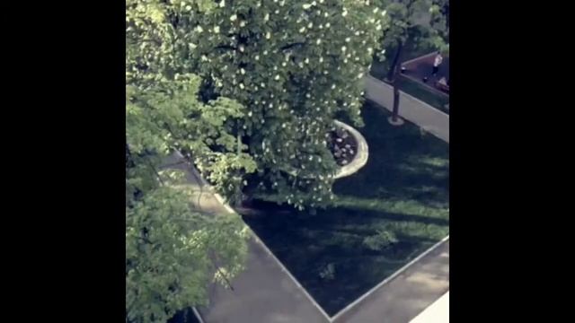 3-к квартира, 75м2, Пушкинская, 35,5млн смотреть онлайн