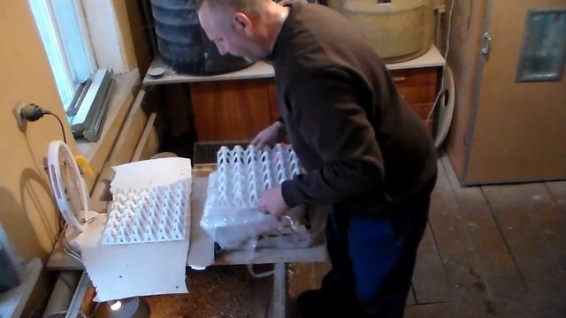 Имбридинга нет инкубационное яйцо по бартеру смотреть онлайн