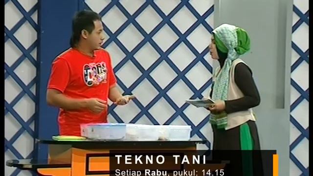 TRAILLER TEKNO TANI смотреть онлайн