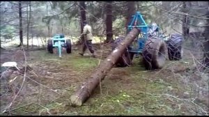 Самый лёгкий трелевочник в МИРЕ-Мотоблок МТЗ-05. Трелюем лес. Walking tractor MTZ-05. Trellevochnik