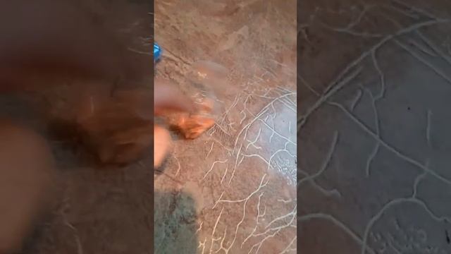 пластилин из фикспрайс.mp4 смотреть онлайн
