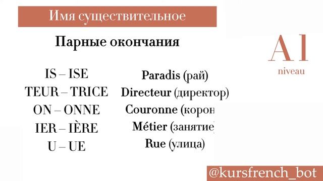 Род и число существительных. Обучение французскому языку. смотреть онлайн