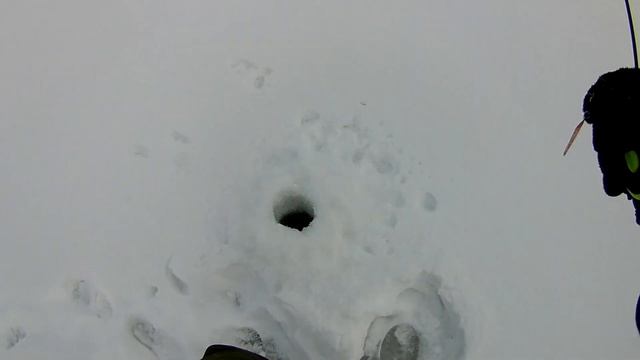 ОКУНЬ НА МАРОПЕДКУ В ФЕВРАЛЕ смотреть онлайн