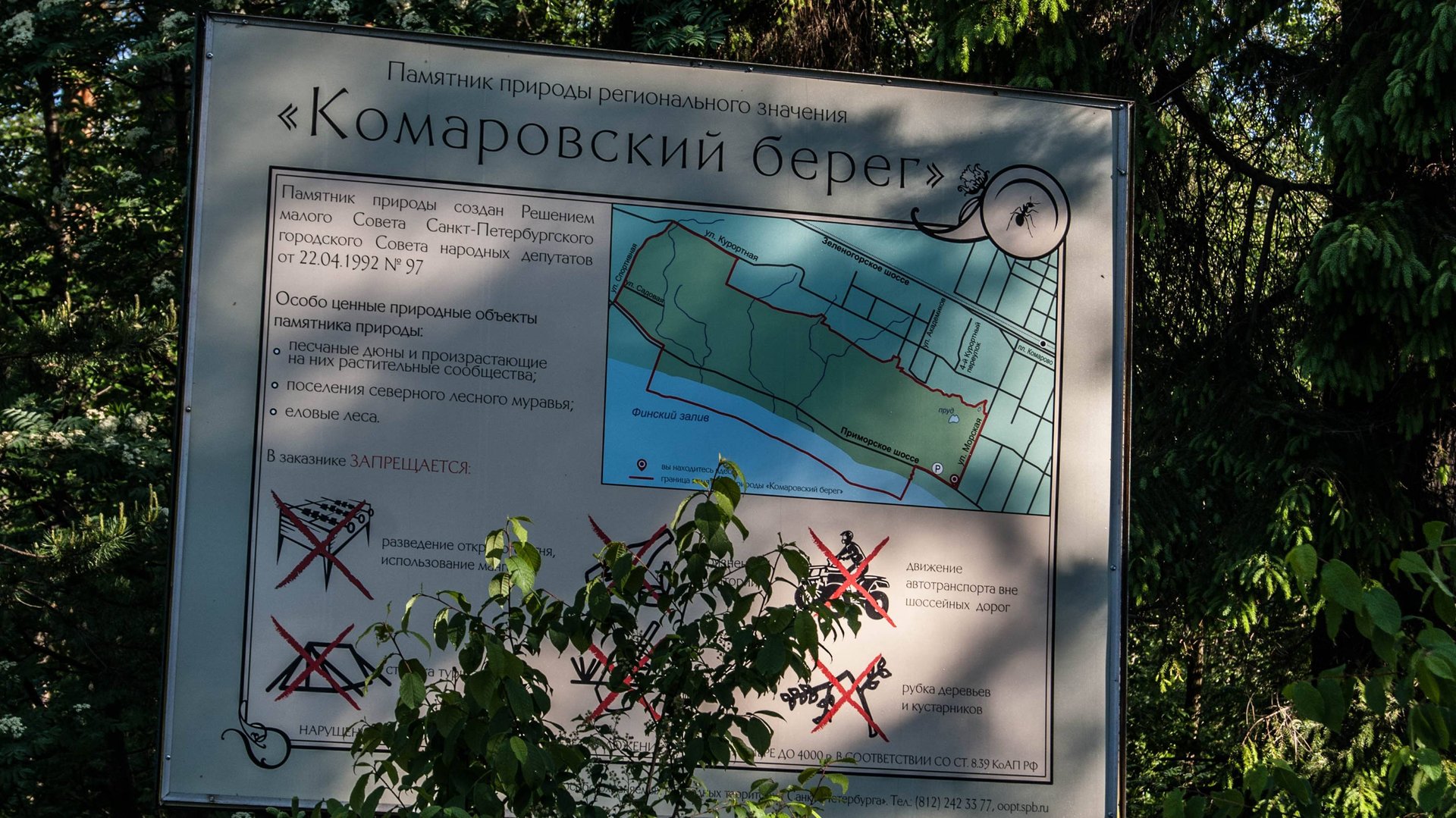 Комаровский берег смотреть онлайн