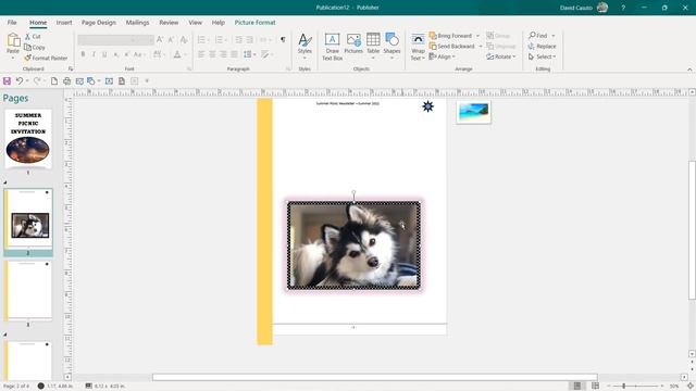 Publisher 2019 for Beginners Tutorial смотреть онлайн