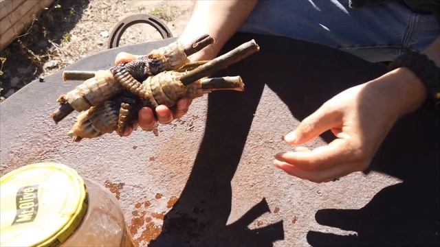 Snake Skin Tanning and Preserving -How To - смотреть онлайн