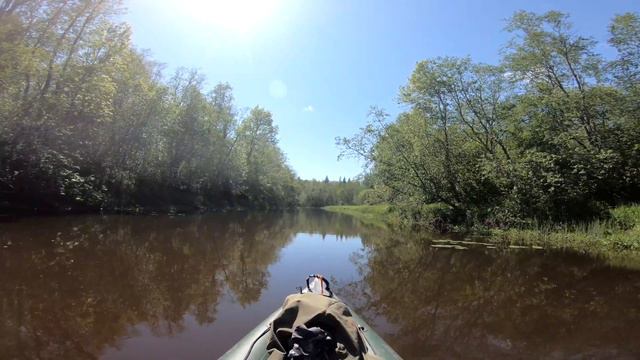Сплав по речке Pedja, kayak trip in Estonia, day 4 смотреть онлайн