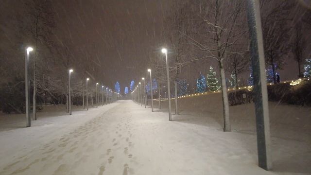 Парк Краснодар. Парк Галицкого. Стадион Краснодар. Прогулка в снегопад. смотреть онлайн