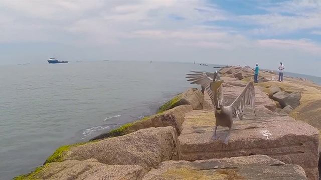 gulp смотреть онлайн