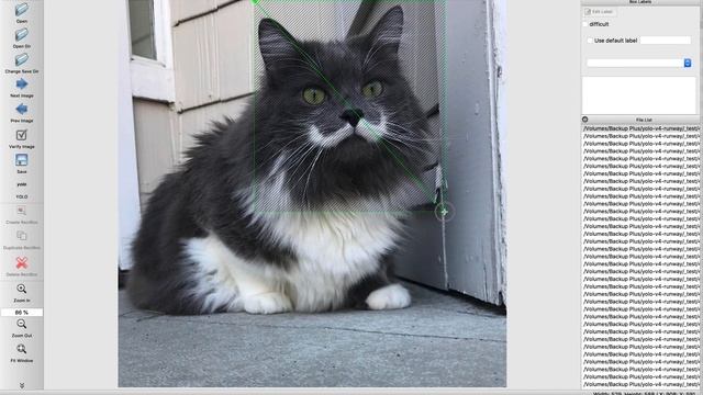 Labeling Images for Object Detection (YOLO) with LabelImg смотреть онлайн