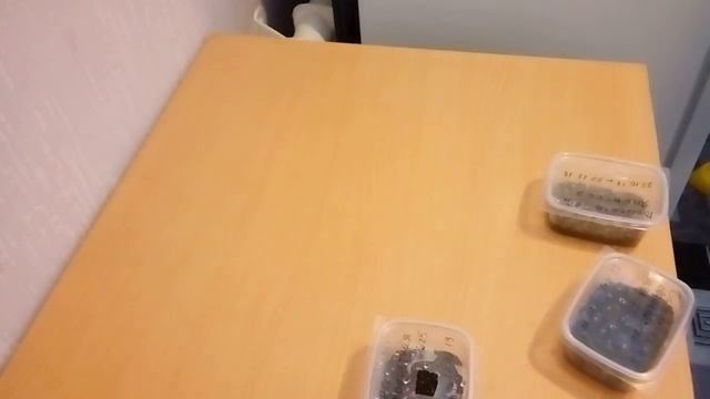 Проверка семян находящихся на стратификации. Избавилась от плесени. Дополнение к 4 части. смотреть онлайн