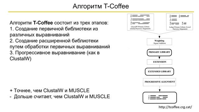 BM3. Как работают алгоритмы множественного выравнивания последовательностей смотреть онлайн