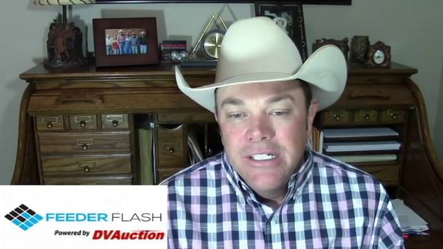 Feeder Flash 12/15: Packers Scheduling for 2018 смотреть онлайн