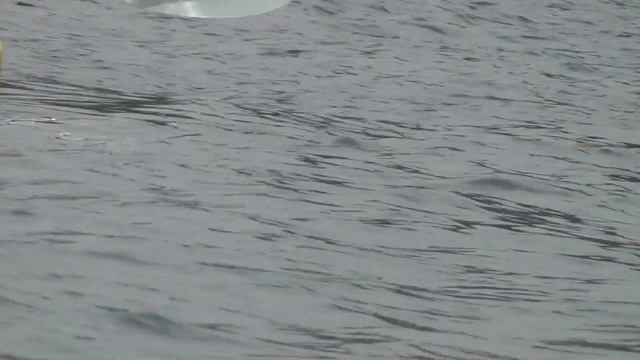 035 Рыбалка на Лофотенах, Николай Боровков треска с каяка смотреть онлайн