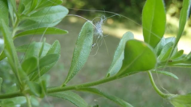 Lonely Light - HD - Olympus TG - 830 - SMP