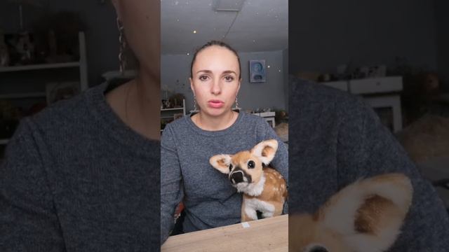 О выставке мишек тедди в Азии. Тайвань. Китай. Teddy Bear Exhibition Taiwan, Beijing