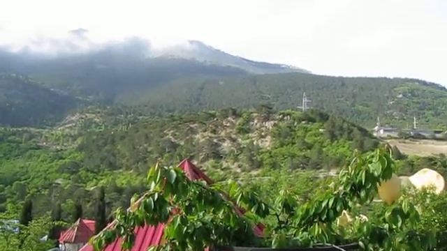 Вид из ялтинского зоопарка на горы смотреть онлайн