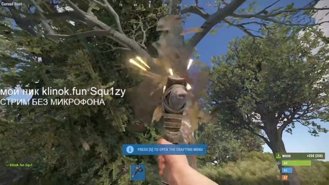 играю в раст на CURSED RUST