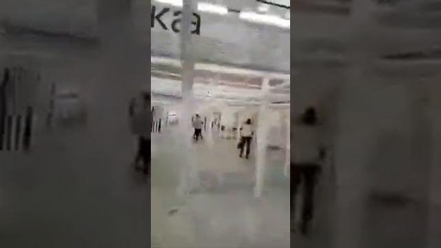 Музейный клуб. Доступность текстов. 2-я часть смотреть онлайн