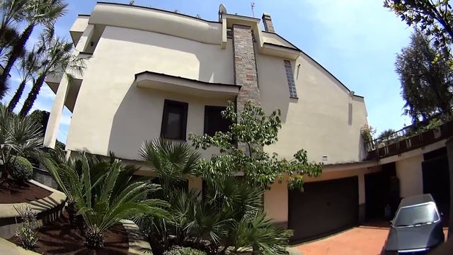 Ceiba speciosa смотреть онлайн