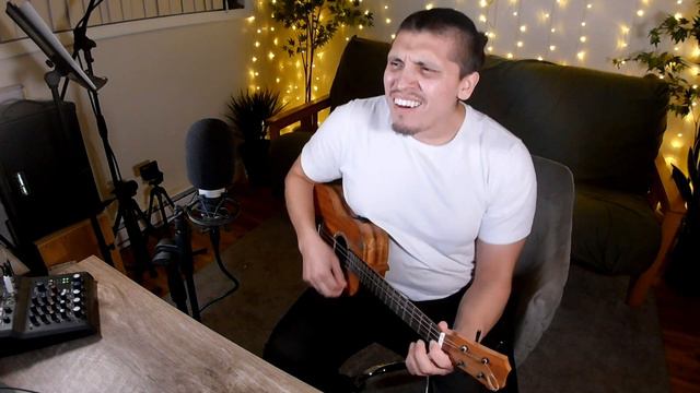 Can't Buy Me Love - The Beatles (Baritone Ukulele Cover) смотреть онлайн