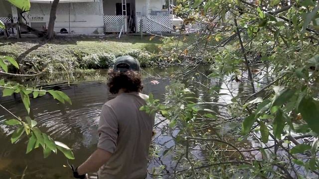 Pescador Primitivo David Madrid P2 смотреть онлайн