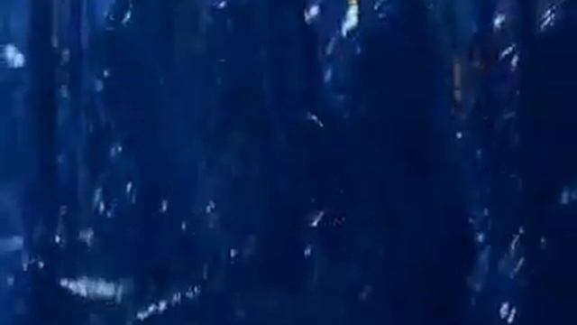 шнур+шмыга смотреть онлайн