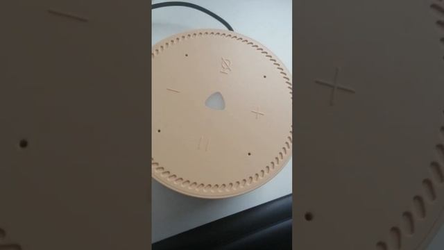 Пуш уведомлении от Алисы Яндекс Станция Лайт смотреть онлайн