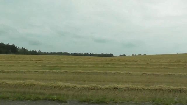?КАТЯ НА ДАЧЕ?Отдых у бабушки на даче? смотреть онлайн