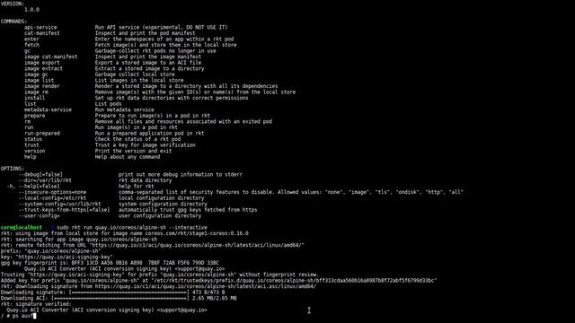 rkt v1.0: Getting started смотреть онлайн