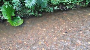 Медный ручей. Рекордные 38 кг меди. Сахалин