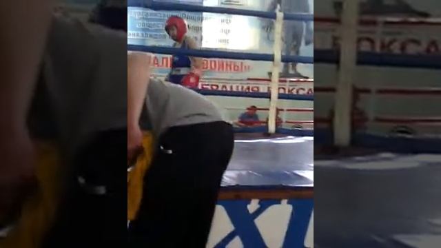 первенство по боксу памяти солдат погибших на сев кавказе смотреть онлайн