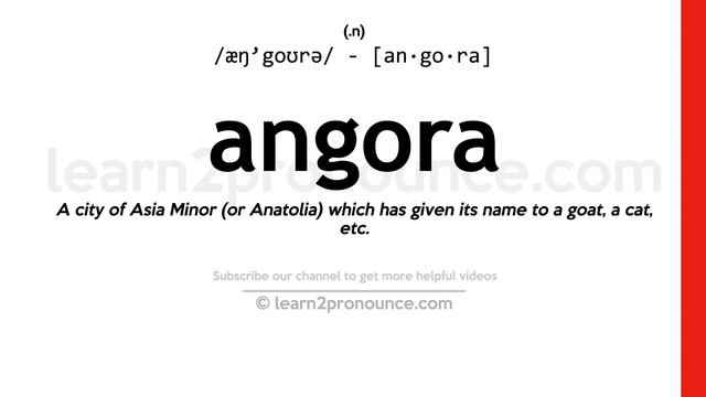 Pronunciation Of Angora | Definition Of Angora